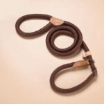 Heavy Duty Dog Leash Slip Rope Lead with Adjustable Braided Loop Collar | Training Leash for Medium and Large Dogs All Seasons - Image 2